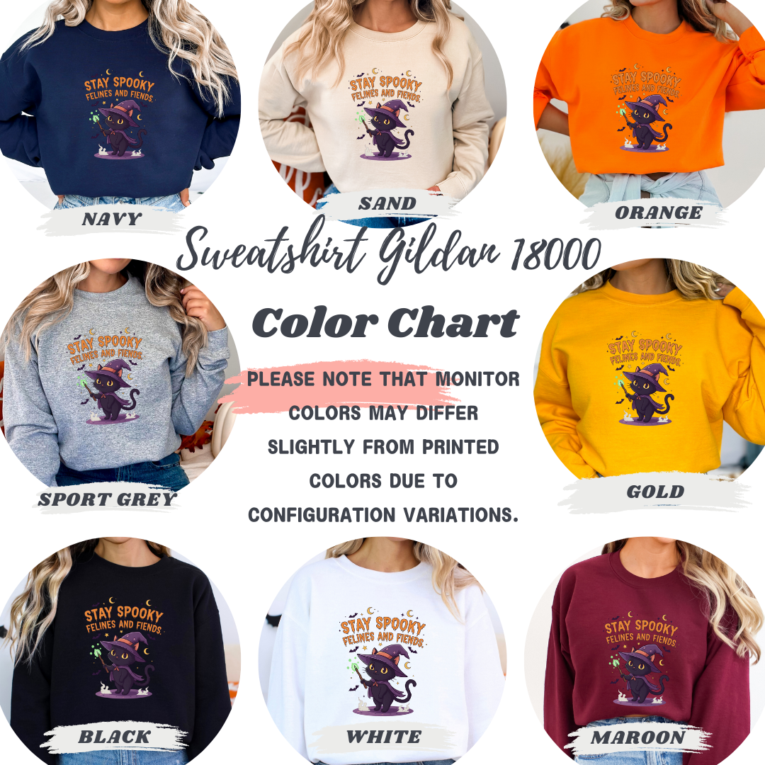 Cute Witch Cat Stay Spooky Felines and Fiends Sweatshirt