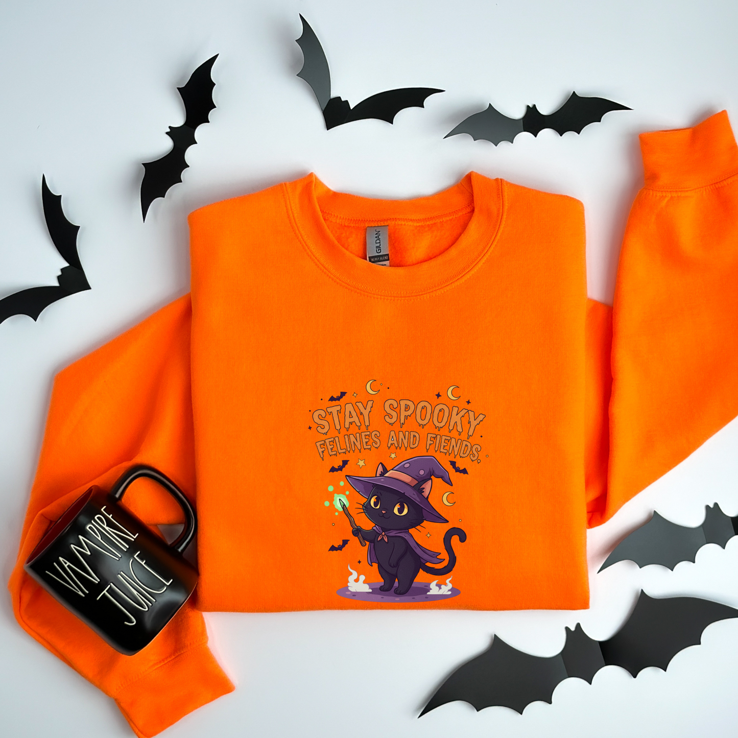 Cute Witch Cat Stay Spooky Felines and Fiends Sweatshirt
