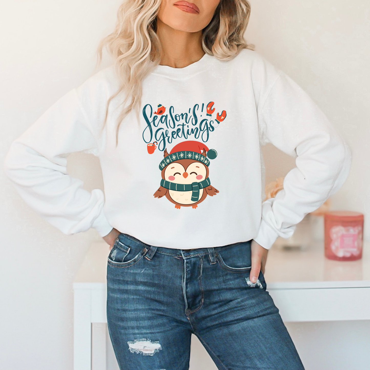 Cozy Winter Owl Sweatshirt – Seasons Greetings Holiday Pullover, Christmas Gift Idea